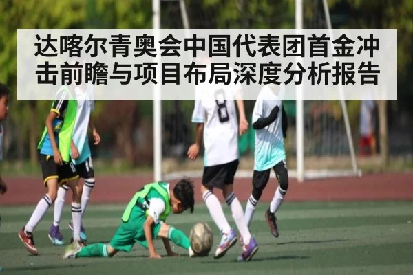 达喀尔青奥会中国代表团首金冲击前瞻与项目布局深度分析报告